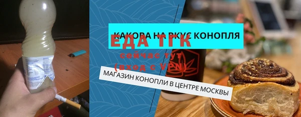 хмурый Новозыбков