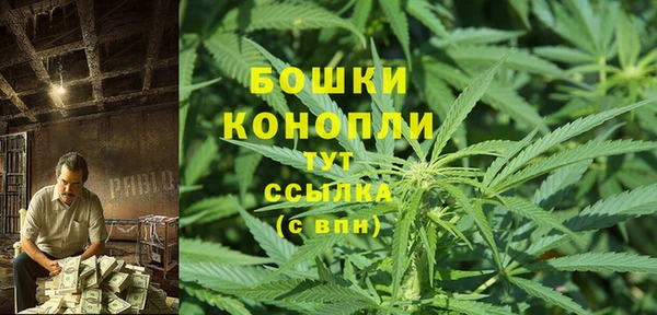 дмт Апатиты