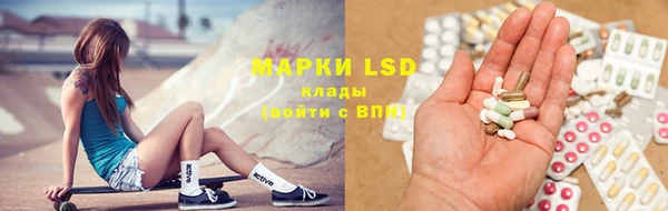 хмурый Новозыбков