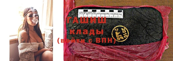 хмурый Новозыбков