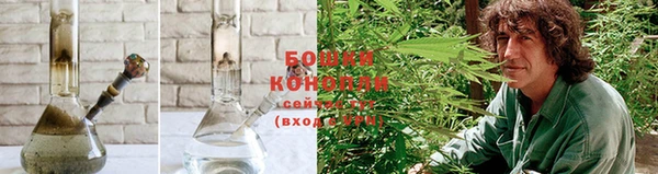хмурый Новозыбков