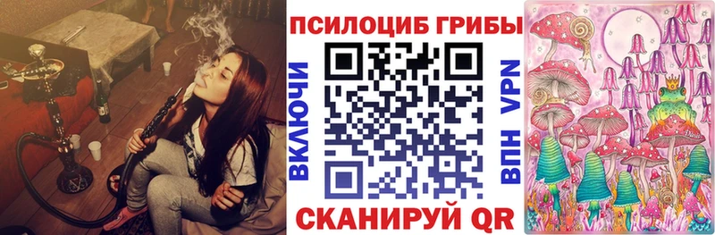 Галлюциногенные грибы Psilocybe Махачкала